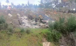 Ağaçları Kesip Yaktılar: 20 Gözaltı