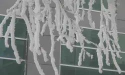 Ardahan Eksi 18,6 Derece ile Buz Tuttu