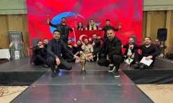 Avrupa’da Türkiye Rüzgarı: Türk Kuaförler, Avrupa Şampiyonu