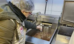 Bakanlıktan Eş Vakitli Kızartma Yağı Kontrolü