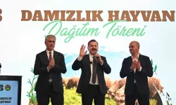 Balıkesir Büyükşehir Belediyesi, Savaştepe’de 550 Küçükbaş Dağıttı