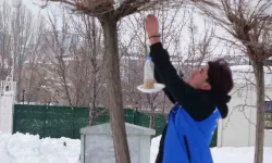 Dondurucu Soğuklarda Yaban Hayvanları Unutulmadı