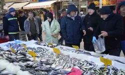 Gençlik İksiri Kolajen Sayesinde Hamsiye Olan İlgi Arttı: Bayanlar Eşlerinden Hamsi İstiyor