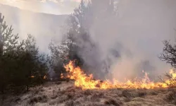 Kastamonu’da Ormanlık Alanda Çıkan Yangın Söndürüldü