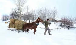 Muş’ta Besicilerin İmdadına Atlı Kızaklar Yetişti