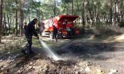 Ormanlık Alanda Yakılan Lastikler İtfaiye ve Jandarmayı Alarma Geçirdi