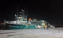 Prof. Dr. İlhan Altınok: “Hamsi Gazı Denilen Bir Gaz Yoktur”