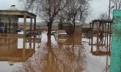 Şanlıurfa’da Kırsal Mahalleler Sel Suları Altında Kaldı
