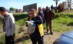 Tutuşan İzolasyon Gereçleri Çatıyı Küle Çevirdi, Bina Sakinleri Gözyaşlarına Hakim Olamadı