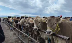 Uzmanı Uyardı, O Hastalık Ağızda Oluşan Lezyonlarla Kendini Gösteriyor