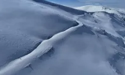 Uzungöl’ün Doruklarında Dronla Tilkiyi Saniye Saniye Takip Etti