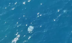 Antalya’da Balıkçı Ağları Denizanasıyla Doldu