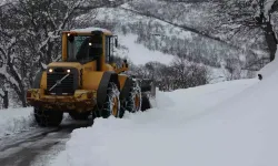 Bingöl’de 200 Köy Yolu Ulaşıma Kapandı