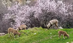 Birebir Vilayet İki Farklı Mevsim