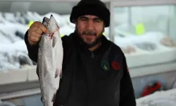 Denize Kıyısı Olmayan Kentte Bu Yıl 6 Bin Ton Balık Üretildi