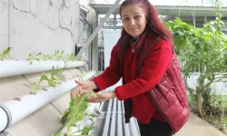 Depremzede Bayanın Pvc Boru İçinde Yetiştirdiği Eserler Gelir Kapısı Oldu