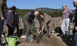 Ege’nin İncisi Çeşme’de 10 Hektarlık Alana Sakız Ağacı Dikildi