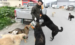 Esenyurt Belediyesi Sokak Hayvanlarına Mama ve Su Takviyesini Sürdürüyor