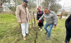 İnşaat Temel Hafriyatında Huzursuz Eden Manzara