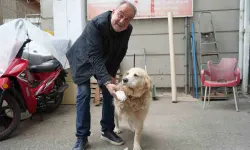 Köpeğin Doktora Havlaması Sahibine 700 Bin TL’ye Patladı