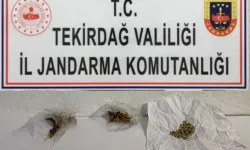 Tekirdağ’da Jandarma 10 Kişiyi Uyuşturucudan Yakaladı