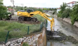 Alaca Deresi'nde Temizlik Çalışması Yapıldı