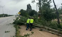 Afyonkarahisar’da Berbat Hava Kaideleri Hayatı Olumsuz Etkiledi