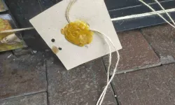 Alanya’da Belediyeden Turiste Fahiş Fiyattan Satış Yapan İşletmeye Ceza
