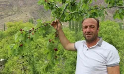 Erzurum’un Dağlarında Kar, Bağlarında Kiraz Var