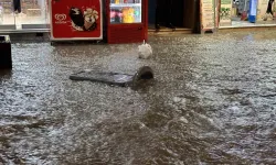 Uşak’ta Yağmur ve Dolu Tesirli Oldu