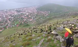 Yağmur ve Dolu Altında Saatlerce “Gökkuşağını” Beklediler