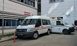 Arıların Soktuğu Kadın Yaşamını Yitirdi