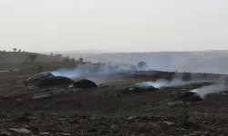 ‘Dikkatli Olunmalı, Anız Yakılmamalı’