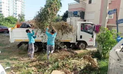 Alanya Belediyesi Bayram Boyunca 5 Bin Ton Atık Topladı