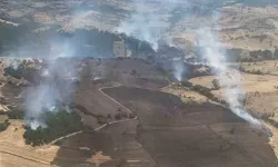 Balıkesir’deki Orman Yangını Denetim Altında