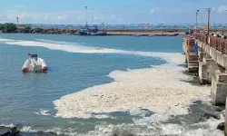 Karadeniz’deki Kirliliğin Müsilaj Değil, Alglerden Kaynaklandığı Ortaya Çıktı