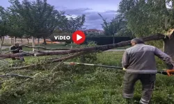 Çorum’da Şiddetli Rüzgar ve Yağış Etkisi