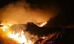 Şırnak’ın Suriye Hududunda Anız Yangını: 7 Köy Etkilendi