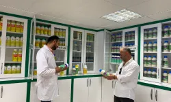 Çorum’da Eş Zamanlı Bitki Ürünleri Denetimi