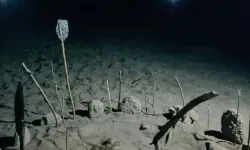 Caretta Carettalar Gazipaşa Kıyısına Yumurtalarını Bıraktı