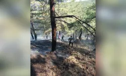 3 Dekarlık Alan Yandı