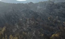 İzmir’de Yangının Çıktığı Nokta Olarak Bedellendirilen Bölge Havadan Görüntülendi