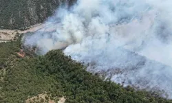 Karabük’te Yıldırım Orman Yangınına Neden Oldu