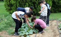 Karatay Tabiat Mektebi Yaz Devri Eğitimleri Sürüyor