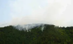 Kastamonu’da Yıldırım Sebebiyle Çıkan Orman Yangına Müdahale Sürüyor