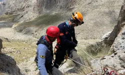 Kayalıklarda Mahsur Kalan Çoban ve Koyun Kurtarıldı