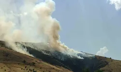 Muş’ta Çıkan Örtü Yangını Denetim Altına Alındı