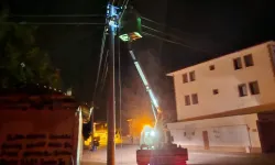 Elektrik Direğine Çarpıp Kaçtı