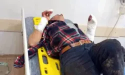 Kendisine Saldıran Domuzu Bıçakla Etkisiz Hale Getirdi