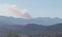 Tahtasız’dan Yangın Paylaşımı